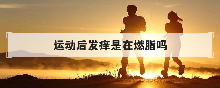 运动后发痒是在燃脂吗