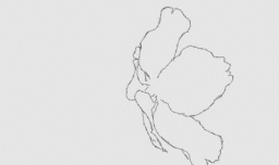 绘画系列之教你如何画简易樱花