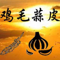 鸡毛蒜皮打一动物生肖