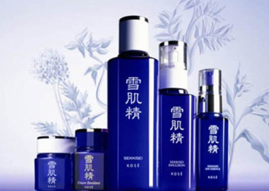 日本化妆品排行榜前十名有哪些