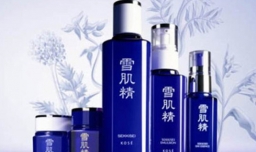 日本化妆品排行榜前十名有哪些