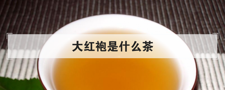 大红袍是什么茶