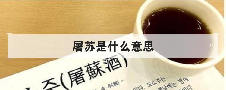 屠苏是什么意思