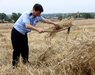 小暑农事活动有哪些