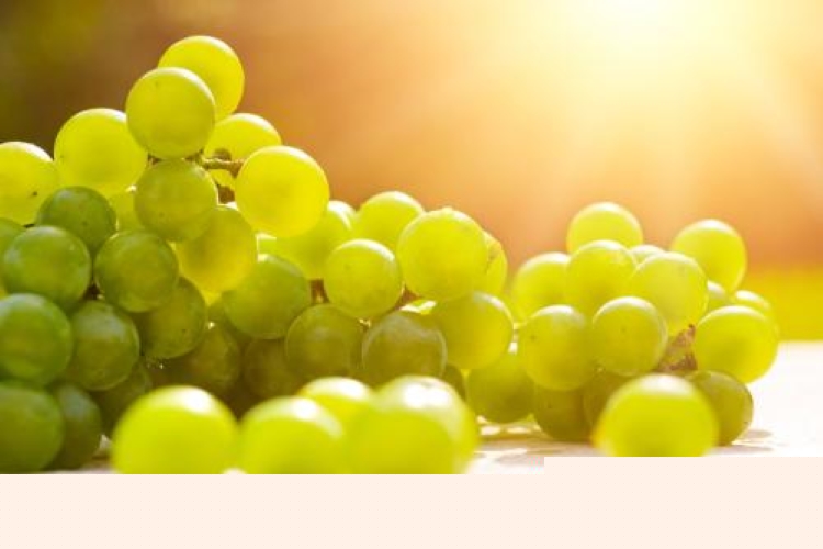 摘下来的葡萄没熟怎么办