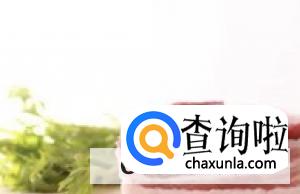 炸萝卜丸子的家常做法