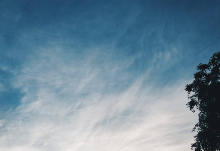 七月的风八月的雨表达什么