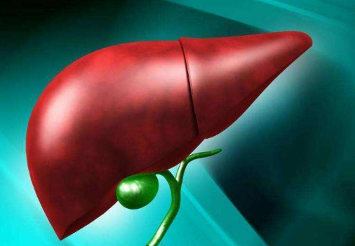 五脏六腑指的是什么