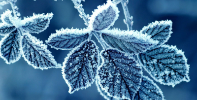 美不胜收是什么意思