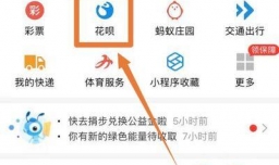 怎么调整支付宝花呗还款日