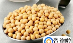 快速瘦身塑形的豆类食物有哪些？