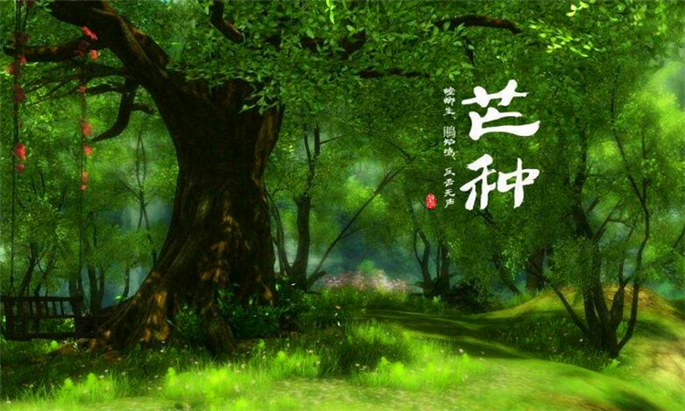 芒种是什么意思