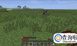 我的世界贝爷生存攻略