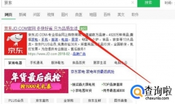 查看京东消费记录