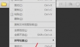 Acrobat如何设置该程序使用的语言