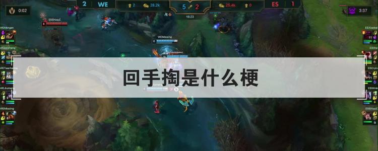 回手掏是什么梗