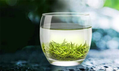 信阳毛尖是绿茶吗