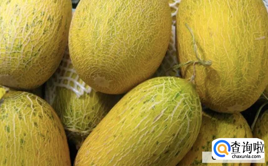 哈密瓜有什么保存方法