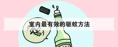 室内最有效的驱蚊方法