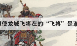 但使龙城飞将在的飞将是谁