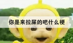 你是来拉屎的吧什么梗