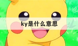 ky是什么意思