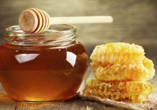 蜜蜂有哪些好处