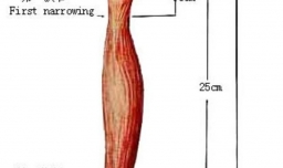 有哪些方法可以预防癌症？