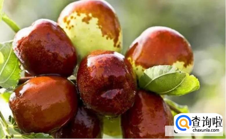 吃什么可以促进肝脏排毒解毒