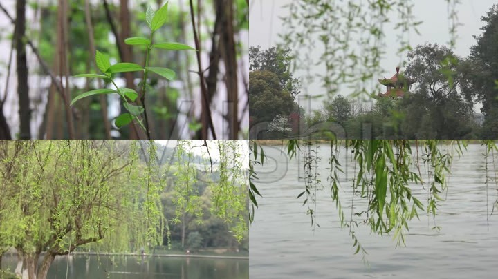 二月春风似剪刀的似是什么意思