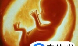 婴儿出生之前就可以做DNA鉴定吗？