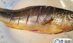 清蒸黄花鱼做法