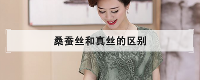 桑蚕丝和真丝的区别