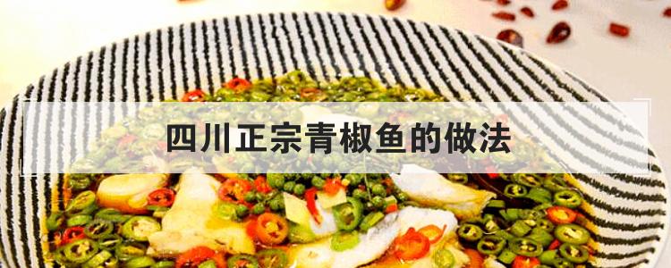四川正宗青椒鱼的做法