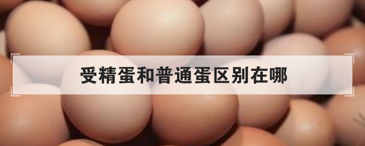受精蛋和普通蛋区别在哪