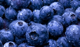 蓝莓一天吃多少为宜？