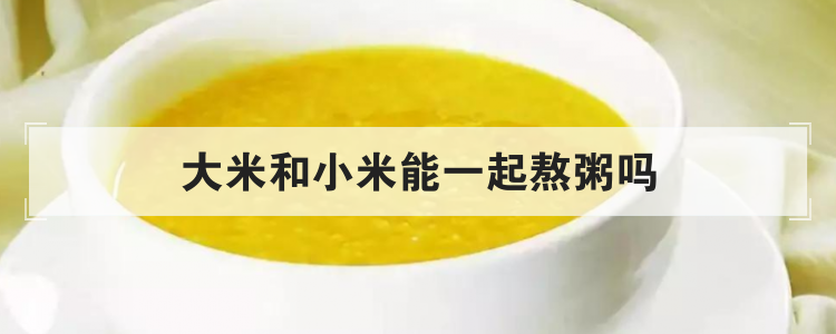 大米和小米能一起熬粥吗