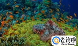 澳大利亚有哪些好玩的地方