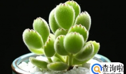 如何让孩子学会集中注意力学习？