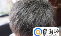 天然染发的方法