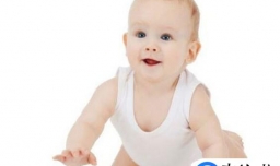 宝宝11个月了还不会爬