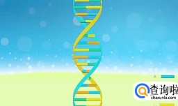 什么是显性基因和隐性基因？