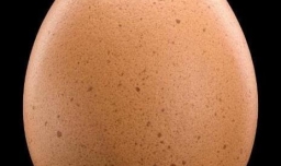 每天吃多少鸡蛋才算好