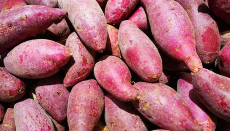 红薯不能和什么一起吃