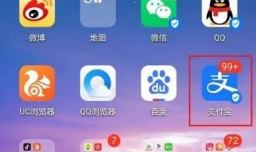 支付宝怎么查询和一个人的转账记录