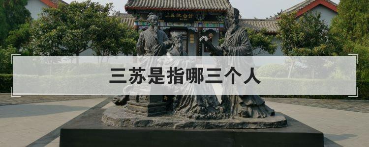 三苏是指哪三个人