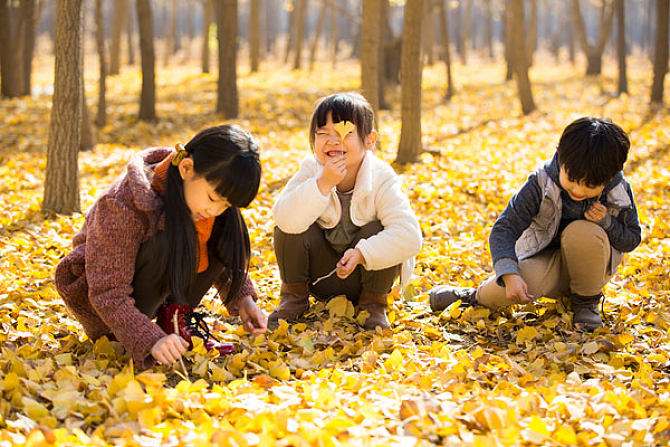 为什么称小朋友为神兽