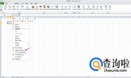 如何设置excel单元格为文本格式？