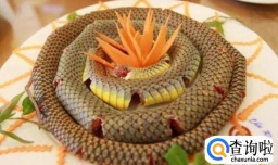 蛇肉都有哪些营养价值？