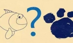 为什么鱼与熊掌不可兼得